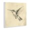 Stupell Industries Vintage Hummingbird Sketch Wall Plaque, design by Petal Prints Design